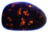 Polished Yooperlite Pebble - Highly Fluorescent! #176853-1